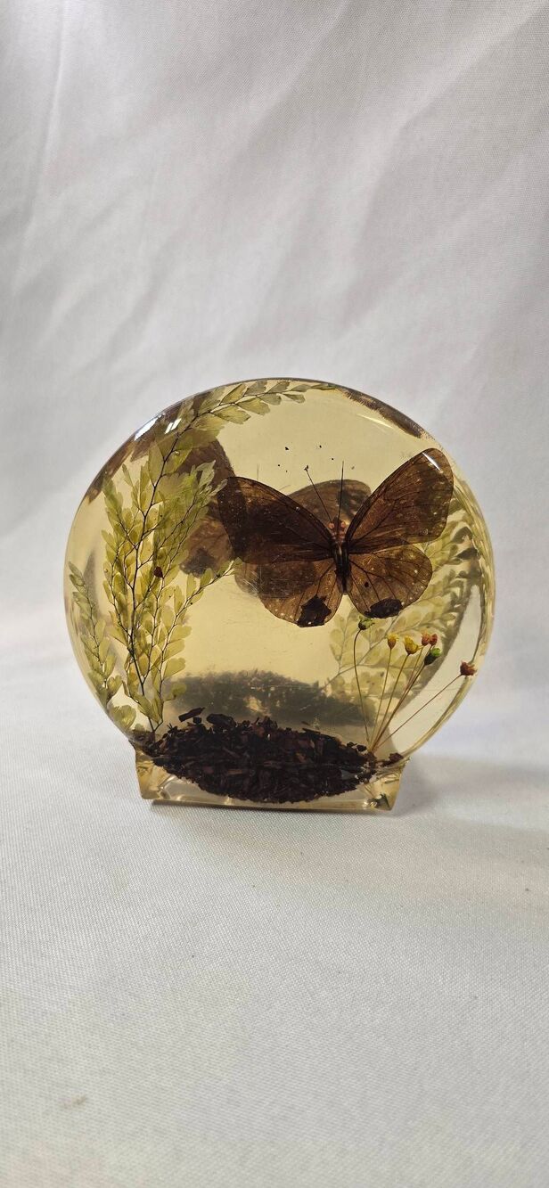 Vintage MCM Lucite Butterfly Napkin Holder - Real Preserved Botanical Resin